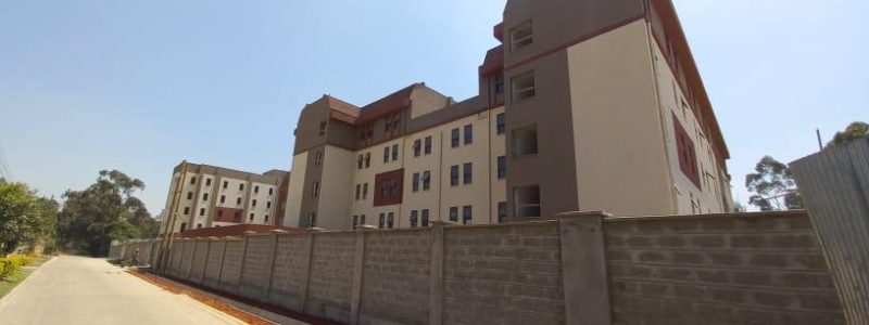 BONIFACE MAJOR PROJECTS-2